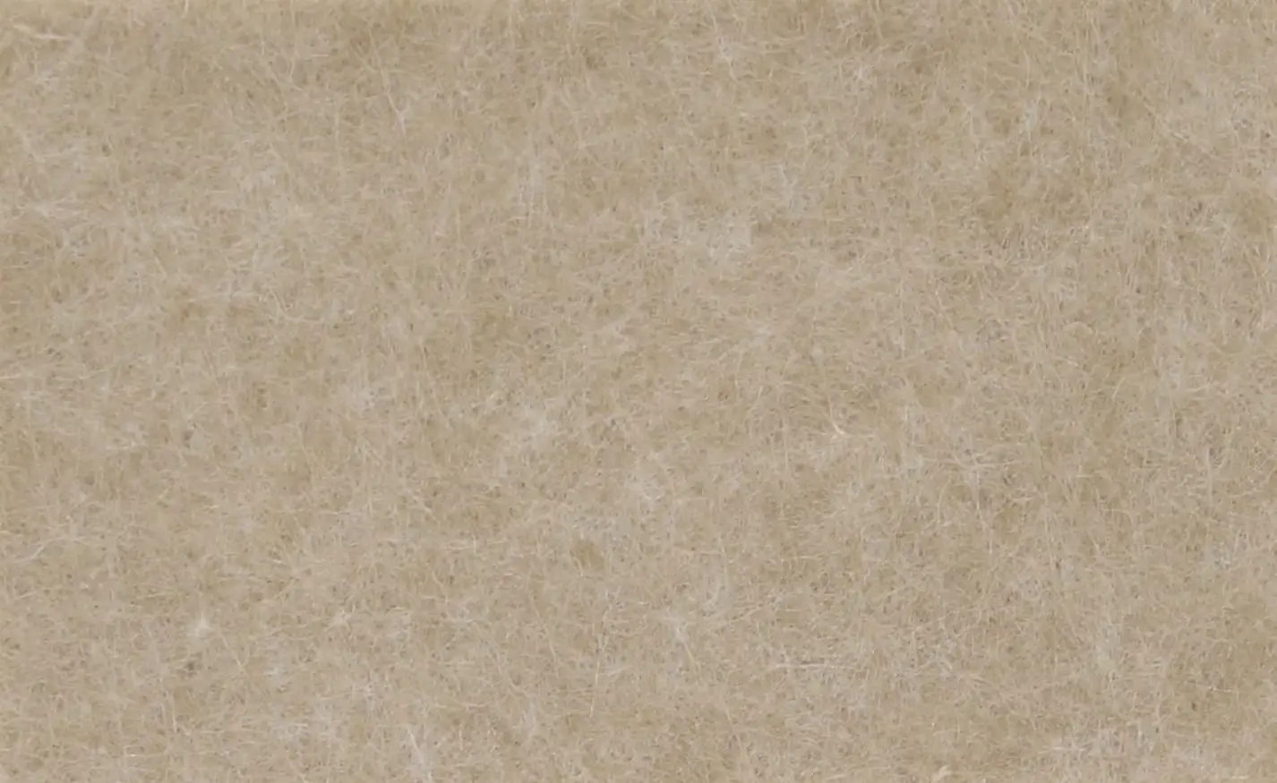 Beige Arena