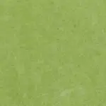 Verde Lima